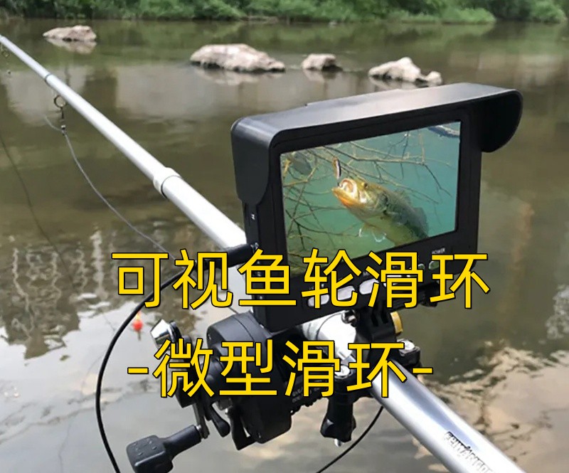 可視魚輪手机看片在线视频